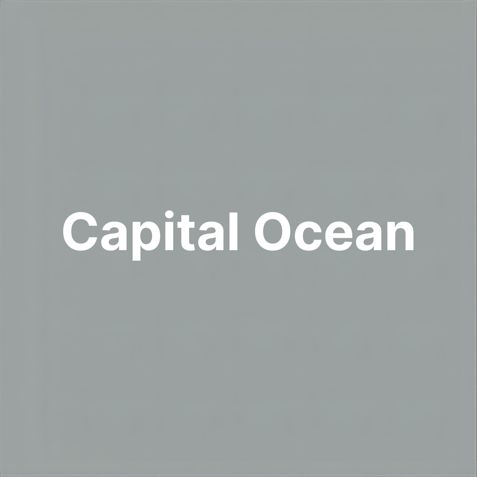capital ocean logo light lead gray 20260306 221926 0000